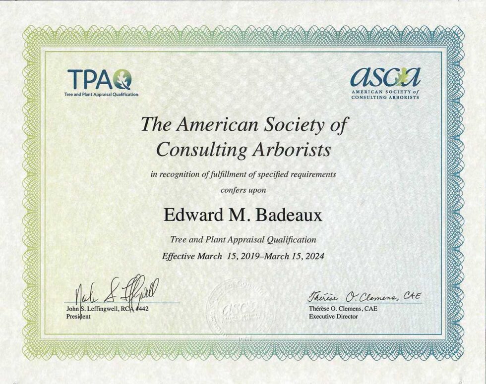 EXPERT STAFF Charleston Tree Experts