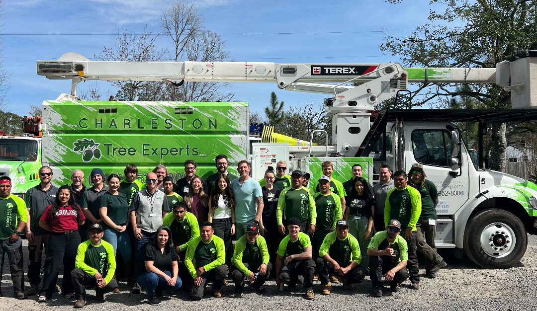 Charleston Tree Experts has Joined Forces with SavATree to Expand our Capabilities